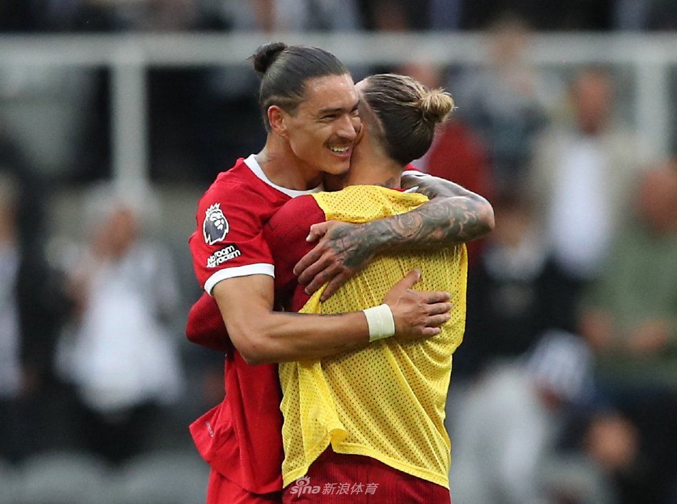 够的侵略性 够的侵略性